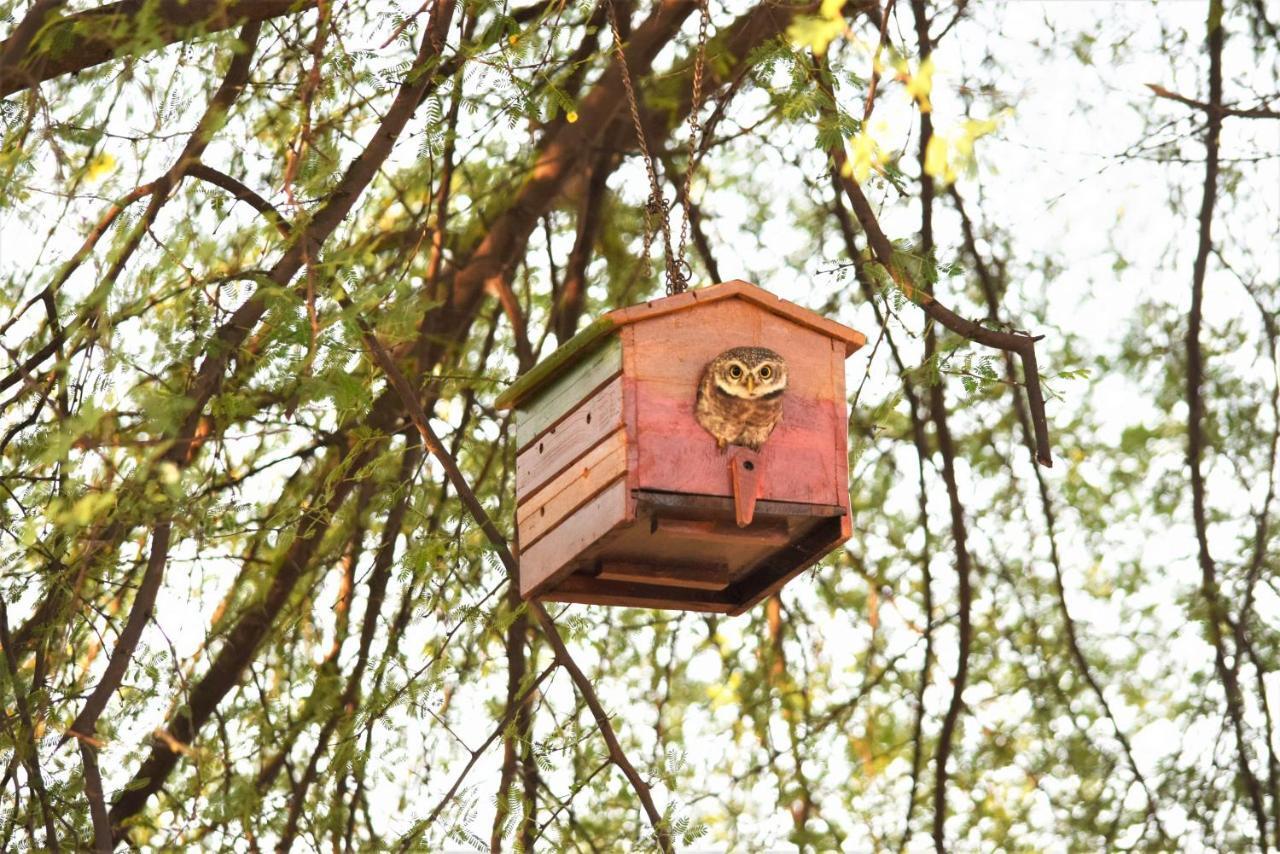 Ranthambhore Bagh Dwar Camp Khilchipur  Exterior photo